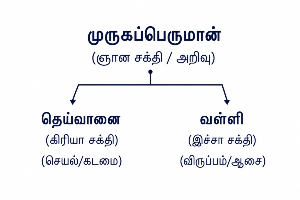 Murugan Deivanai Valli relation - முருகன் வள்ளி தெய்வானை